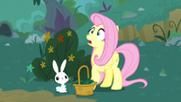 Fluttershy and Angel hear a loud noise S8E18