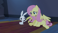 Fluttershy com a asa dobrada T4E03