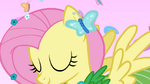 Fluttershy gets a butterfly on her ear S1E14