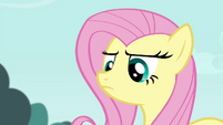 Fluttershy with a stern expression S4E16