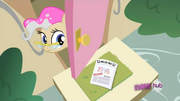 Mayor pink mane S2E23