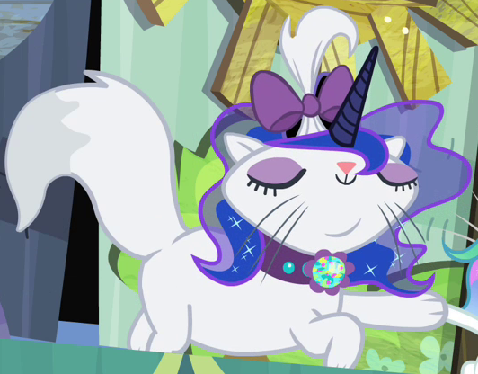 rarity cat