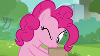 Pinkie Pie looking inside her package S6E3