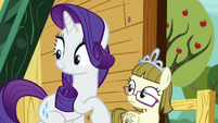 Rarity and Zipporwhill look at the Crusaders S7E6