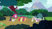 Rarity appears before CMC and Zipporwhill S7E6