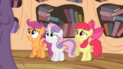 S04E15 Ooo bracie!.png