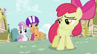 "Aw, come on, Apple Bloom."