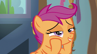 Scootaloo loves Auntie Lofty's cookies S9E12