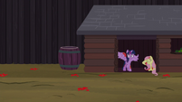 Twilight and Fluttershy take shelter from tomatoes S5E23