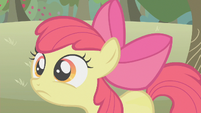 Apple Bloom disappointed S1E12