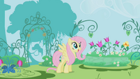 Fluttershy looking at the garden S1E3