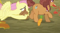 Fluttershy saves the squirrel S5E23
