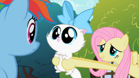 Fluttershy showing cat to Rainbow Dash S2E07