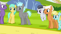 Pegasi watching Flitter S2E22