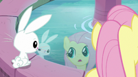 Pegasus Angel "seriously? I'm a pony?" S9E18