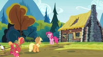 Pinkie Pie and the Apples in front of Goldie's house S4E09