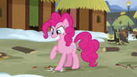 Pinkie Pie stomping on a stick S7E11