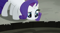 Rarity looking at the outdoor spa MLPRR