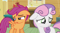 Scootaloo and Sweetie are still blank flanks S5E4