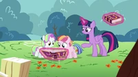 "Maybe read Rainbow Dash's chapter on Rainbow Falls?"