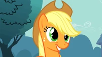 Applejack smiles.