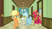 Applejack galloping to the hospital waiting room S6E23