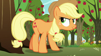 Applejack getting into position S9E13