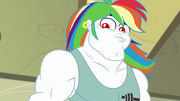 Bulk Biceps with a flowing rainbow wig EGDS12b