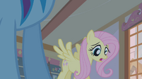 Fluttershy "she digs at the ground" S1E09