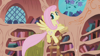 Fluttershy doing some Spring cleaning in Summer S1E03