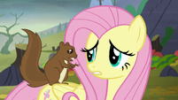 Fluttershy getting concerned as she listens S5E23