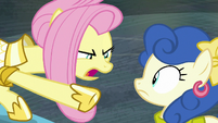 Fluttershy snapping at Blueberry Curls S8E4