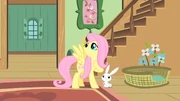 Angel dizendo para Fluttershy sair.