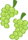 Two bunches of green grapes