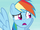 Rainbow "seriously?" S4E21.png