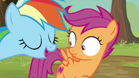 Rainbow Dash "same difference" S8E20