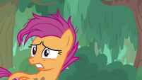 Scootaloo all alone in the swamp S9E22