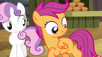 Scootaloo imagines a barrel cutie mark S5E6