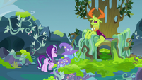 Starlight and Trixie approach Thorax's throne S7E17