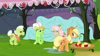 Auntie Applesauce greets Applejack S3E8