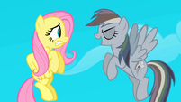 Fluttershy and Rainbow Dash S02E02