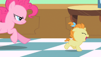 Pinkie Pie chasing Pumpkin Cake S2E13