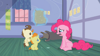 Pound and Pumpkin Cake looking at Pinkie Pie S2E13