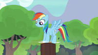 Rainbow Dash drives stake into the ground S7E5