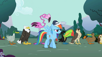Rainbow Dash with a line of animals S2E07