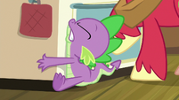 Spike slams into the kitchen oven S8E10