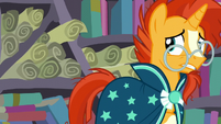 Sunburst bumps into bookshelves S6E2