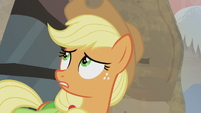 Applejack "what if our families don't like each other?" S5E20