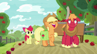 Applejack gives Big Mac the schedule S9E10