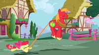 Big McIntosh dragging Apple Bloom S2E17